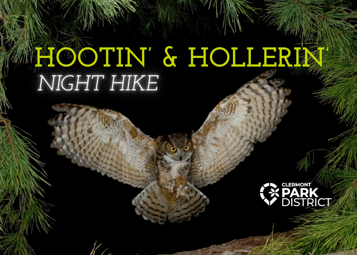 hootinhollerin